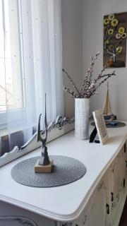 Apartment Jardin with free cowered parking - 3