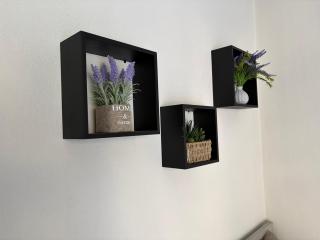 Sunny Suites Palio - 2