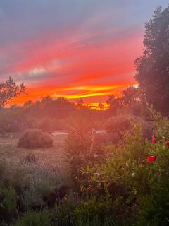 ecologic holidays in nature - 8