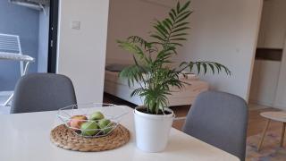 Jani Apartment city Skopje city ​​center - 1