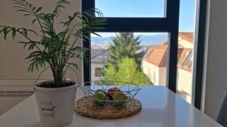 Jani Apartment city Skopje city ​​center - 1