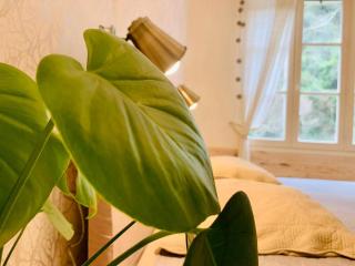 Peaceful Retreat At The Foot Of Black Mountain - 7