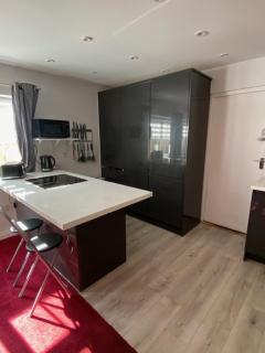 Forest Lodge studio apt - 4