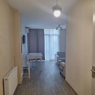 Batumi apartment "magnolia" - 3