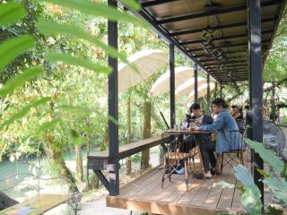 Plerntaan HoReCa - 3