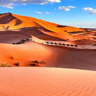 Merzouga Luxury Camp & Activities - 1