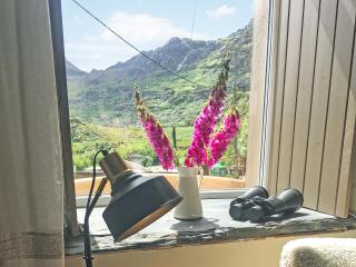 Snowdonia Cottage - 8
