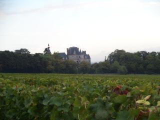 Petite chambre confortable vignoble bourguignon - 7
