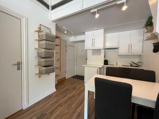 Actif 305 Apartment by Ål Ski Center - 5