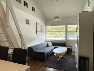 Actif 305 Apartment by Ål Ski Center - 9