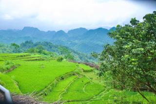 Puluong Qui E Ora - 8