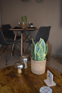 Lithi Urban Apartment - 1