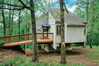 Treehouse style home near Lake Norwood - 0