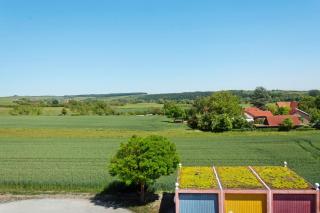 Weingut Hirn &Hundertwasser-Artikel - 8