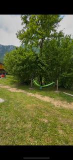 Adrenaline Rafting Camp Tara - 6