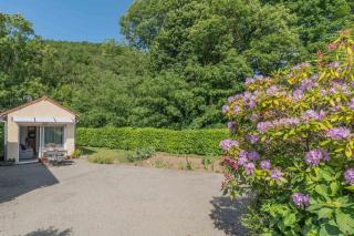 Jardin Fleuri - Proche Foix - 5