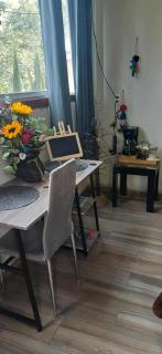 Glamping sin salir de la CDMX - 6