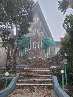 Grandby Gold - 5