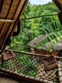 Ecocio Jungle Hostel - 8