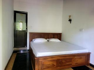 Olive Bay - 5