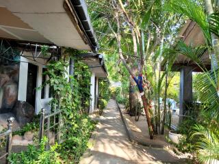 Olive Bay - 3