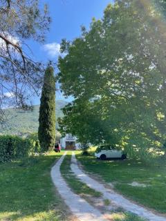 Villa la Quercia e il Cipresso - 6