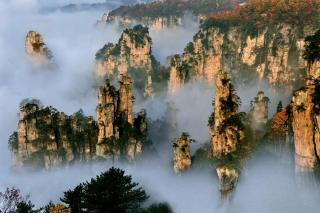 Shambhala Hotel of Zhangjiajie-Within National Forest Park-5min walk to Yangjiajie Cable Car-Free pick up to Park West Gate- English speaking hostess-Hand-drip Coffee- Zen and Tea Culture- Free laundry& Elevator - Personal itineraries & ticket reservation - 3