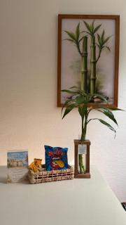 Apartamento em Arraial d'Ajuda, Rua do Mucugê - 2