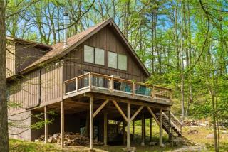 Grill Fire Pit WiFi Deck Hammock Games & Dogs - 9