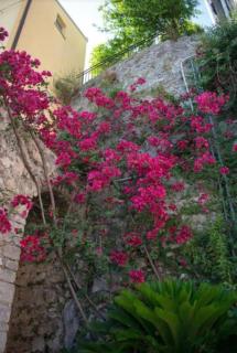 San Martino 100 Old Town Apartment - Itri - 7