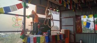 Everest Home Stay Lasso Restro and Bar Temal Kalimati Tower - 4