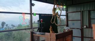 Everest Home Stay Lasso Restro and Bar Temal Kalimati Tower - 3