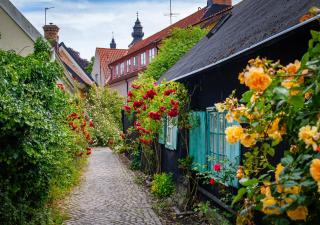 Viking Line - 2-night Cruise Stockholm-Visby-Stockholm - 8