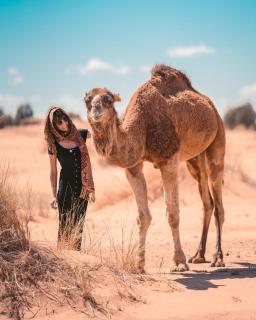 Grand Dunes Luxury Camp - 7