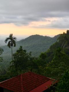 Pebble Falls Jungle Resort - 8