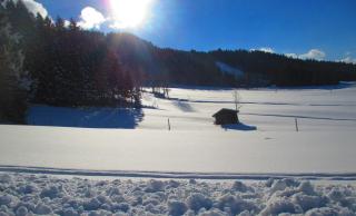 Griesbachhof-Wilder Kaiser - 2