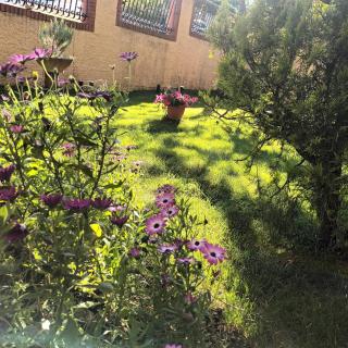 Villa Vanessa - 0