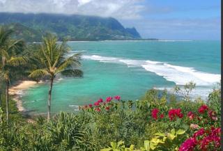 Princeville Hideaway,New North Shore Gem - 8