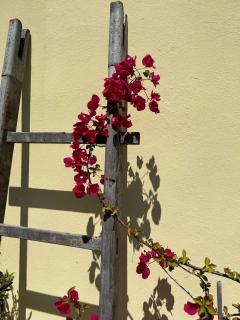 Casa del Sole - 3