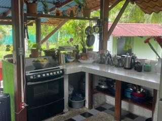 Colibri Paradise - 1
