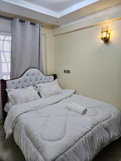 Allan BnB HomaBay - 6