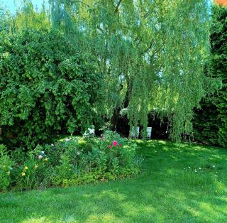 Ferienwohnung Stadt-Land-Fluss - Bad Salzuflen - 2