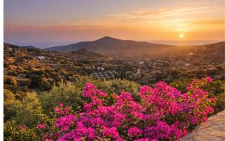 Garden Residence Andros with Sea View & Pool - 7