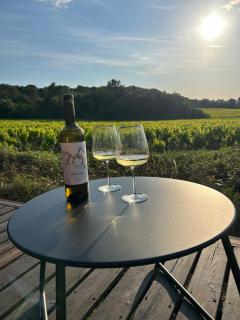 Escapade insolite au cœur des vignes - 6