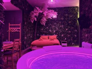 JUNGLE SUITE - Jacuzzi - Centre - Clim by Narbana - 4