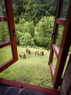 Casa Grande de Covas-Apartamentos Boutique en la Ribeira Sacra con finca privada de 80 ha - 3