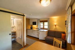 Blashof seit 1693 - Apartments Schladming - 8