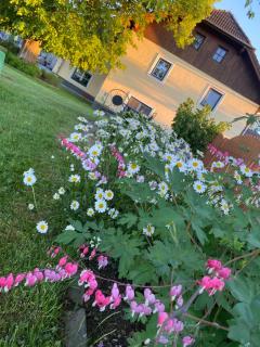 Ferienwohnung Abendsonne - 1