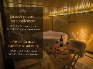 Studio en Gruyère - Grande terrasse privée 50m2 et Jaccuzi optionnel - 6