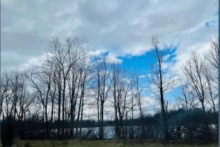 The Pine Haven retreat with hot tub and fire pit - 2